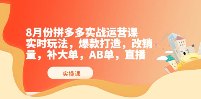 8月份拼多多实战运营课，实时玩法，爆款打造，改销量，补大单，AB单，直播-南风轻创