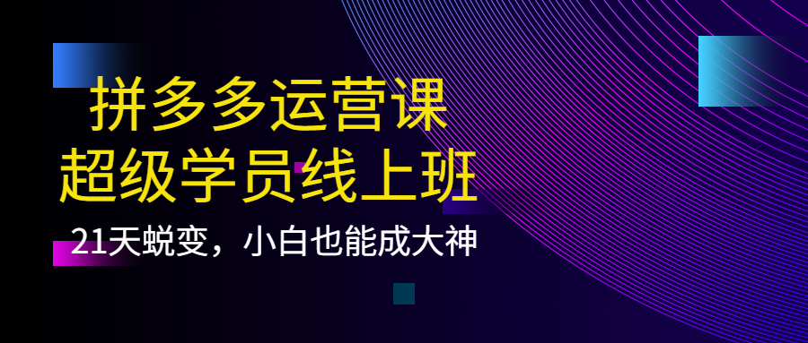 拼多多运营课：超级学员线上班，21天蜕变，小白也能成大神-南风轻创