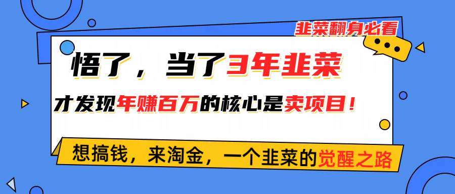 悟了，当了3年韭菜，才发现网赚圈年赚100万的核心是卖项目，含泪分享！-南风轻创
