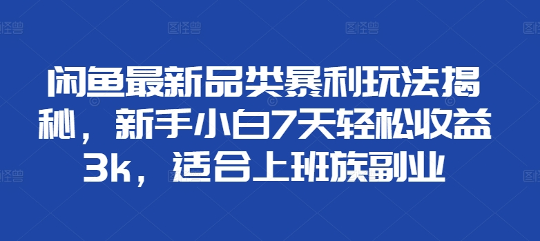 闲鱼最新品类暴利玩法揭秘，新手小白7天轻松赚3000+，适合上班族副业-南风轻创