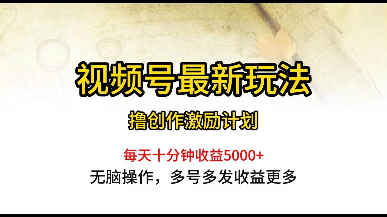视频号最新玩法，每日一小时月入5000+-南风轻创