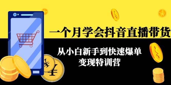 一个月学会抖音直播带货：从小白新手到快速爆单变现特训营(63节课)-南风轻创