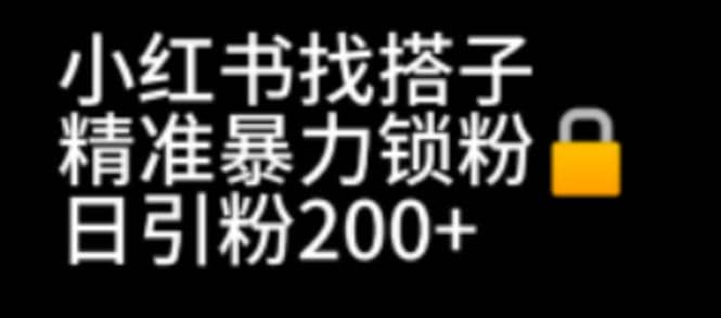 小红书找搭子暴力精准锁粉+引流日引200+精准粉-南风轻创