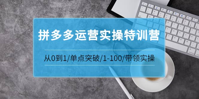 拼多多运营实操特训营：从0到1/单点突破/1-100/带领实操 价值2980元-南风轻创