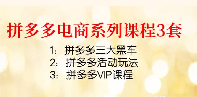 拼多多电商系列课程3套：拼多多三大黑车+拼多多活动玩法+拼多多VIP课程-南风轻创