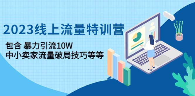 2023线上流量特训营：中小卖家流量破局技巧等等-南风轻创