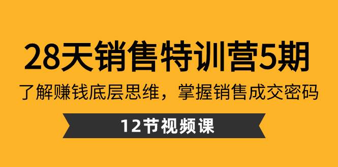 28天·销售特训营5期：了解赚钱底层思维，掌握销售成交密码（12节课）-南风轻创
