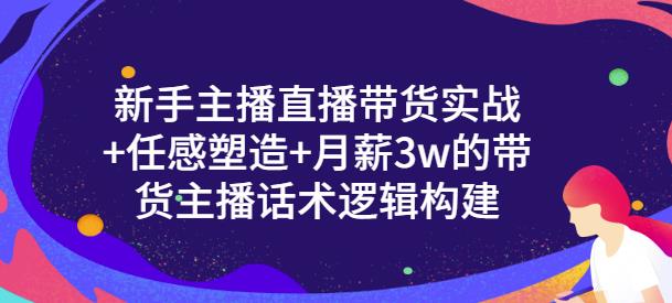 新手主播直播带货实战+信任感塑造+月薪3w的带货主播话术逻辑构建-南风轻创
