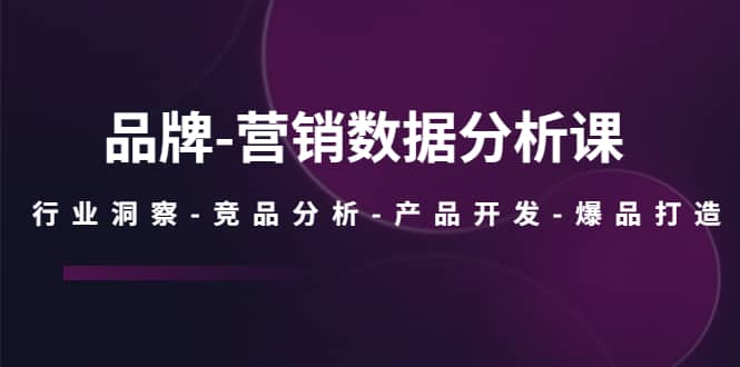 品牌-营销数据分析课，行业洞察-竞品分析-产品开发-爆品打造-南风轻创