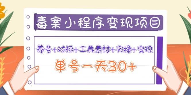 毒案小程序变现项目：养号+对标+工具素材+实操+变现-南风轻创