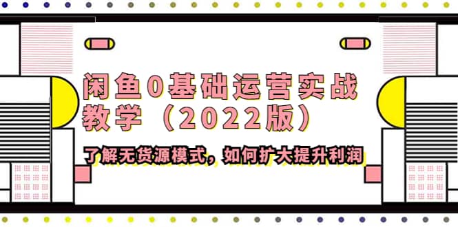 闲鱼0基础运营实战教学（2022版）了解无货源模式，如何扩大提升利润-南风轻创
