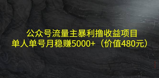 公众号流量主暴利撸收益项目，单人单号月稳赚5000+（价值480元）-南风轻创