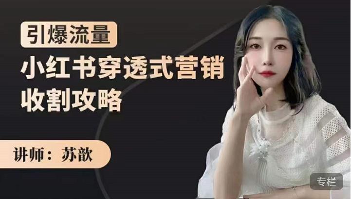 小红书穿透式营销收割攻略，引爆流量，助你玩转小红书-南风轻创