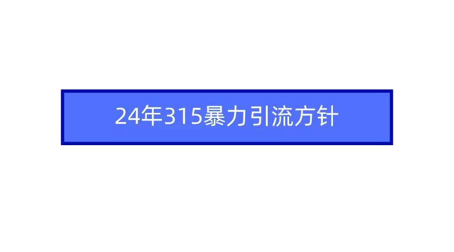 2024年315暴力引流方针-南风轻创