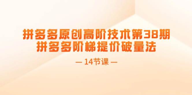 拼多多原创高阶技术第38期，拼多多阶梯提价破量法（14节课）-南风轻创