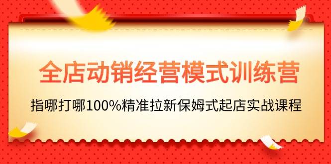 全店动销-经营模式训练营，指哪打哪100%精准拉新保姆式起店实战课程-南风轻创