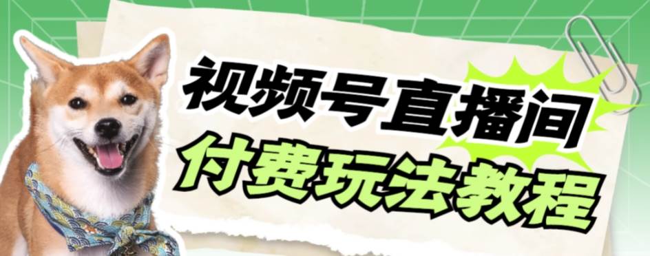 视频号美女付费无人直播，轻松日入500+【详细玩-南风轻创