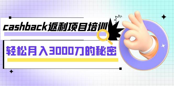 cashback返利项目培训：轻松月入3000刀的秘密（8节课）-南风轻创