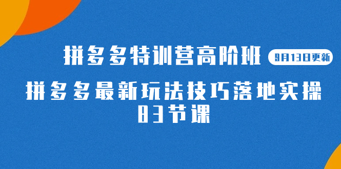 2023拼多多·特训营高阶班【9月13日更新】拼多多最新玩法技巧落地实操-83节-南风轻创