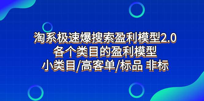 淘系极速爆搜索盈利模型2.0，各个类目的盈利模型，小类目/高客单/标品 非标-南风轻创
