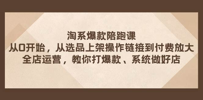 淘系爆款陪跑课 从选品上架操作链接到付费放大 全店运营 打爆款 系统做好店-南风轻创