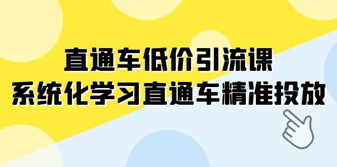 直通车-低价引流课，系统化学习直通车精准投放（14节课）-南风轻创