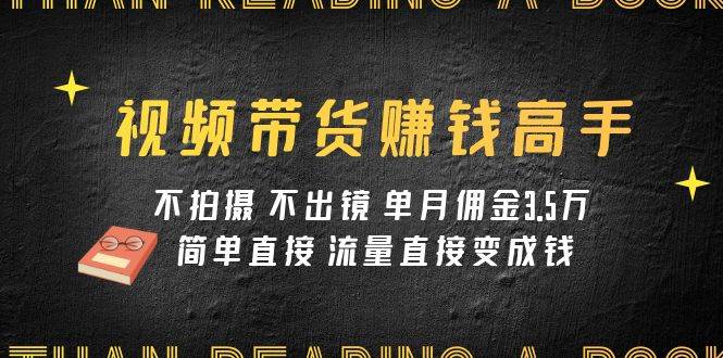 视频带货赚钱高手课程：不拍摄 不出镜 单月佣金3.5w 简单直接 流量直接变钱-南风轻创