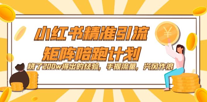 小红书精准引流·矩阵陪跑计划：烧了200w得出的经验，手握流量，兴风作浪！-南风轻创