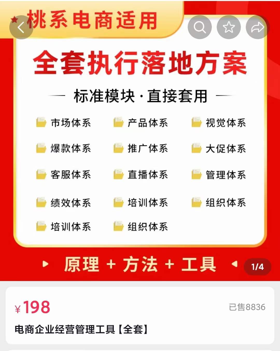 外面卖198·电商企业经营管理工具：全套执行落地方案 标准模块·直接套用-南风轻创