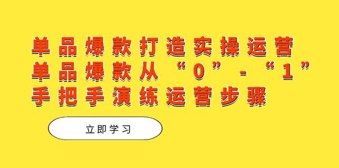 单品爆款打造实操运营，单品爆款从“0”-“1”手把手演练运营步骤-南风轻创