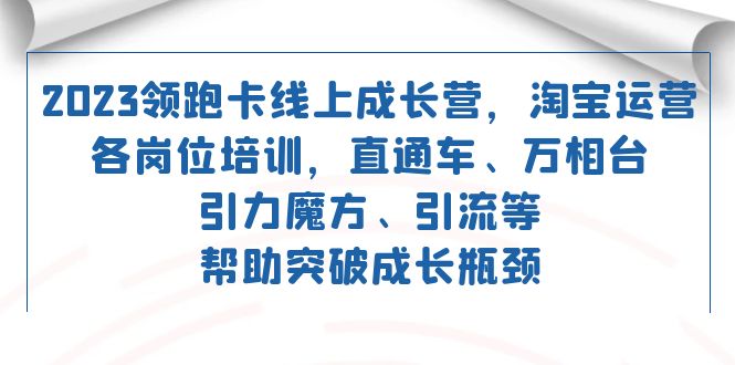 2023领跑·卡 线上成长营 淘宝运营各岗位培训 直通车 万相台 引力魔方 引流-南风轻创
