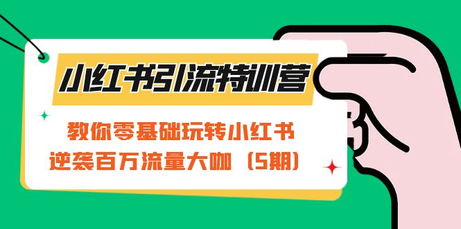 小红书引流特训营-第5期：教你零基础玩转小红书，逆袭百万流量大咖-南风轻创