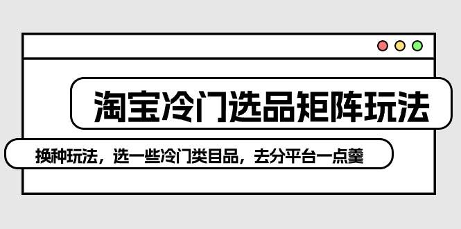 淘宝冷门选品矩阵玩法：换种玩法，选一些冷门类目品，去分平台一点羹-南风轻创
