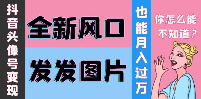 抖音头像号变现0基础教程-南风轻创