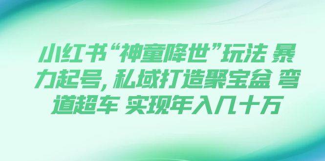 小红书“神童降世”玩法 暴力起号,私域打造聚宝盆 弯道超车 实现年入几十万-南风轻创