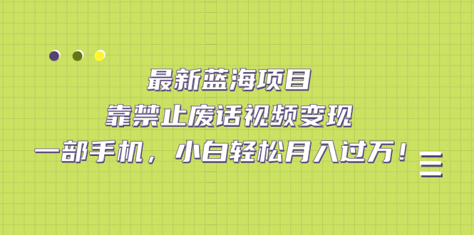 最新蓝海项目，靠禁止废话视频变现，一部手机，小白轻松月入过万！-南风轻创