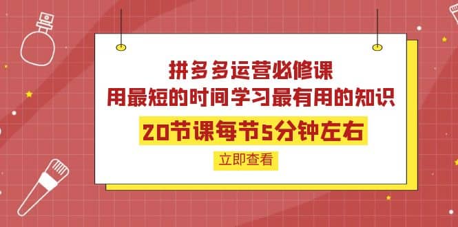拼多多运营必修课：20节课每节5分钟左右，用最短的时间学习最有用的知识-南风轻创