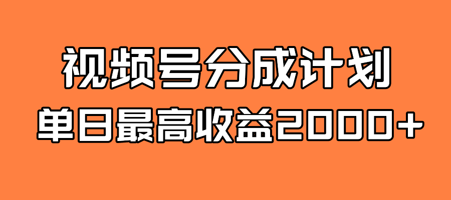 全新蓝海 视频号掘金计划 日入2000+-南风轻创