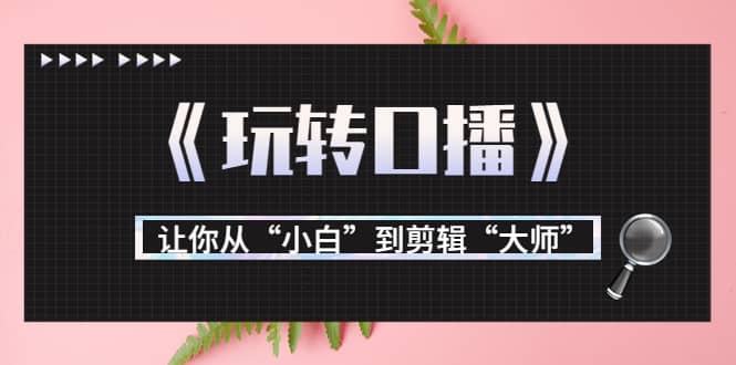 月营业额700万+大佬教您《玩转口播》让你从“小白”到剪辑“大师”-南风轻创