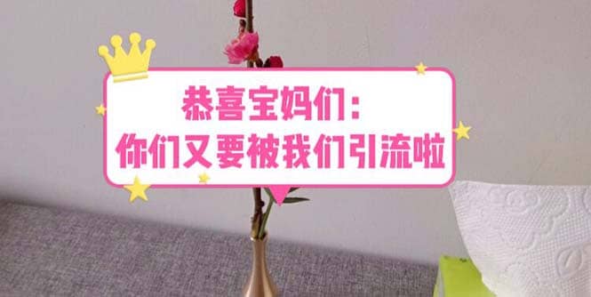 恭喜宝妈们：你们又要被我们引流了（教程+222g资料）-南风轻创