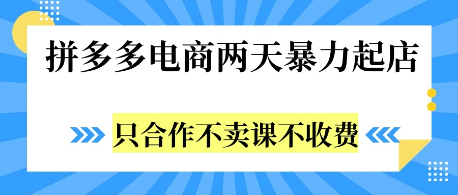 拼多多两天暴力起店，只合作不卖课不收费-南风轻创