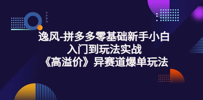 拼多多零基础新手小白入门到玩法实战《高溢价》异赛道爆单玩法实操课-南风轻创