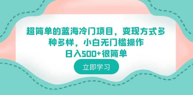 超简单的蓝海冷门项目，变现方式多种多样，小白无门槛操作日入500+很简单-南风轻创