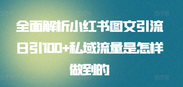 全面解析小红书图文引流日引100私域流量是怎样做到的-南风轻创