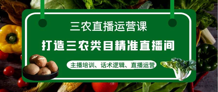三农直播运营课：打造三农类目精准直播间，主播培训、话术逻辑、直播运营-南风轻创