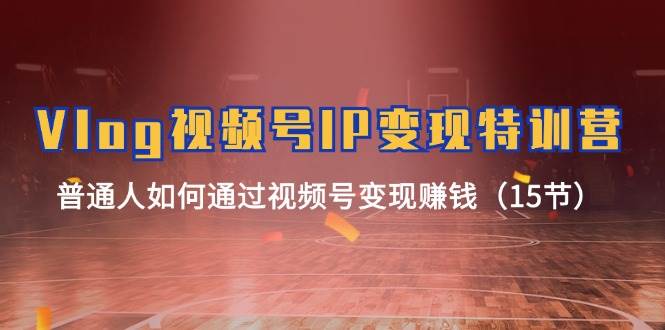Vlog 视频号IP变现特训营，普通人如何通过视频号变现赚钱（15节）-南风轻创