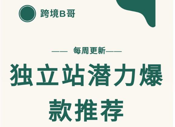 【跨境B哥】独立站潜力爆款选品推荐，测款出单率高达百分之80（每周更新）-南风轻创