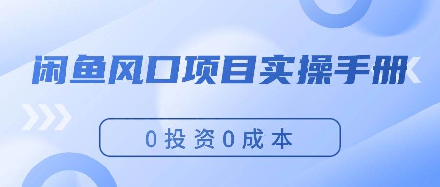 闲鱼风口项目实操手册，0投资0成本，让你做到，月入过万，新手可做-南风轻创