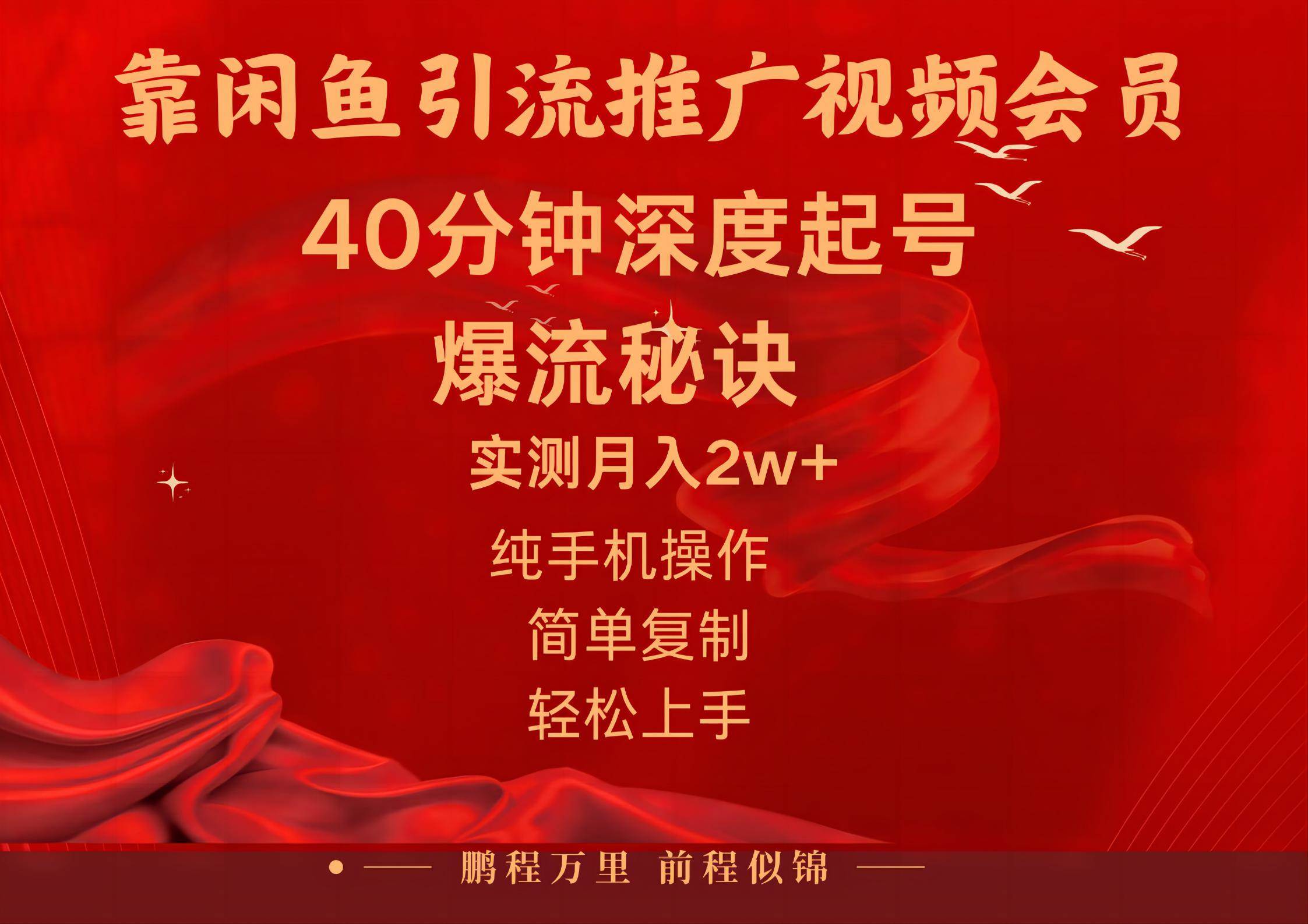闲鱼暴力引流推广视频会员，能做到日入2W+，操作简单-南风轻创
