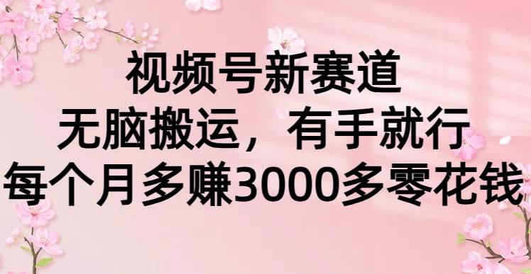 视频号新赛道，无脑搬运，有手就行，每个月多赚3000多零花钱-南风轻创
